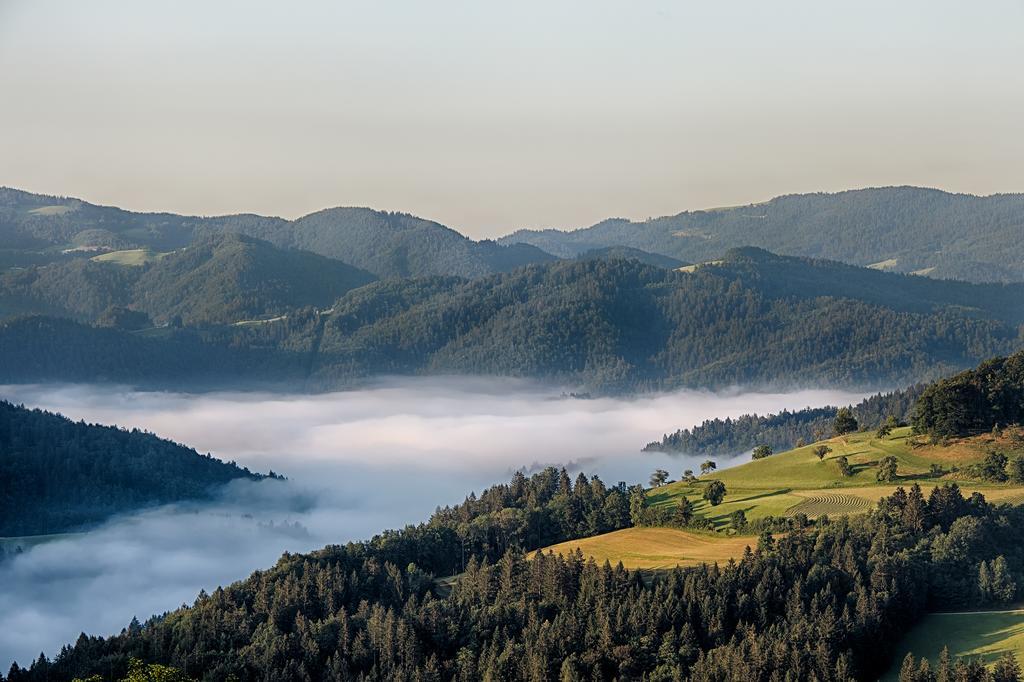 Gostilna Pension Blegos โพลจาเนแนดสโคฟโจโลโค ภายนอก รูปภาพ