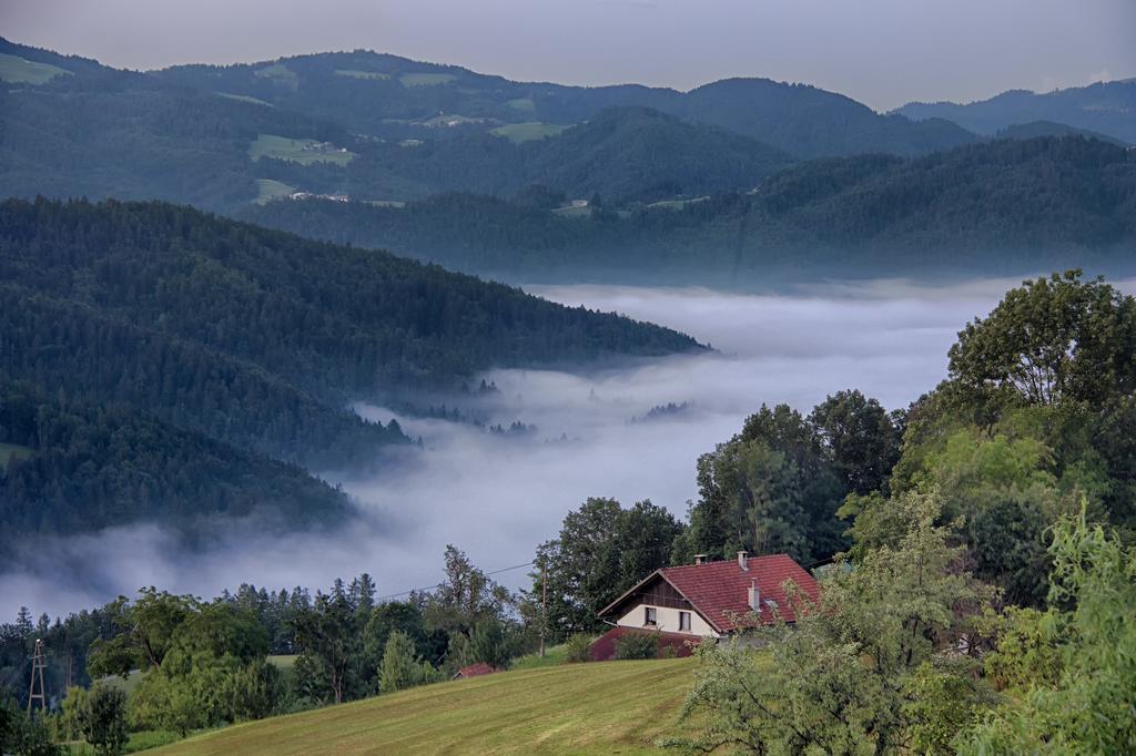 Gostilna Pension Blegos โพลจาเนแนดสโคฟโจโลโค ภายนอก รูปภาพ