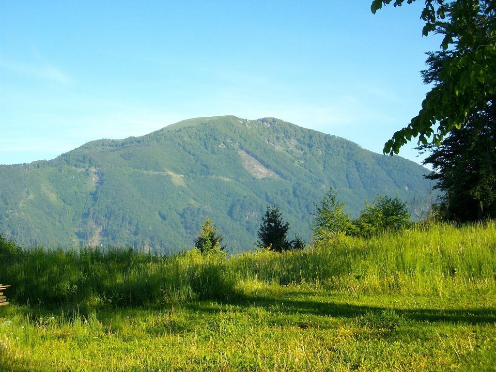 Gostilna Pension Blegos โพลจาเนแนดสโคฟโจโลโค ภายนอก รูปภาพ